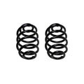 Set of 2 Rear Coil Springs for BMW E30 318i 325i (1982–1994)