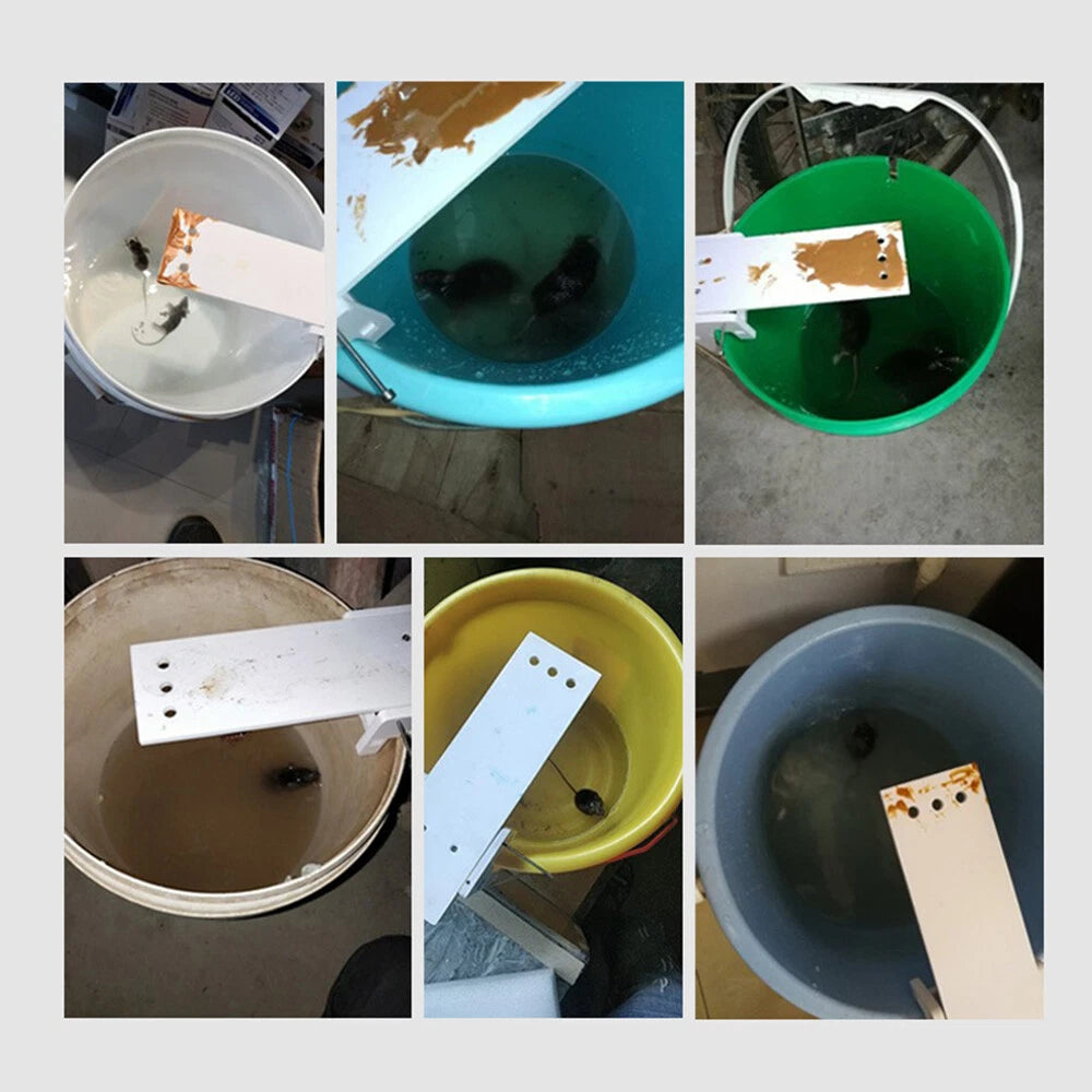 Catch Trap for Mice Rats (Reusable ABS Plastic)