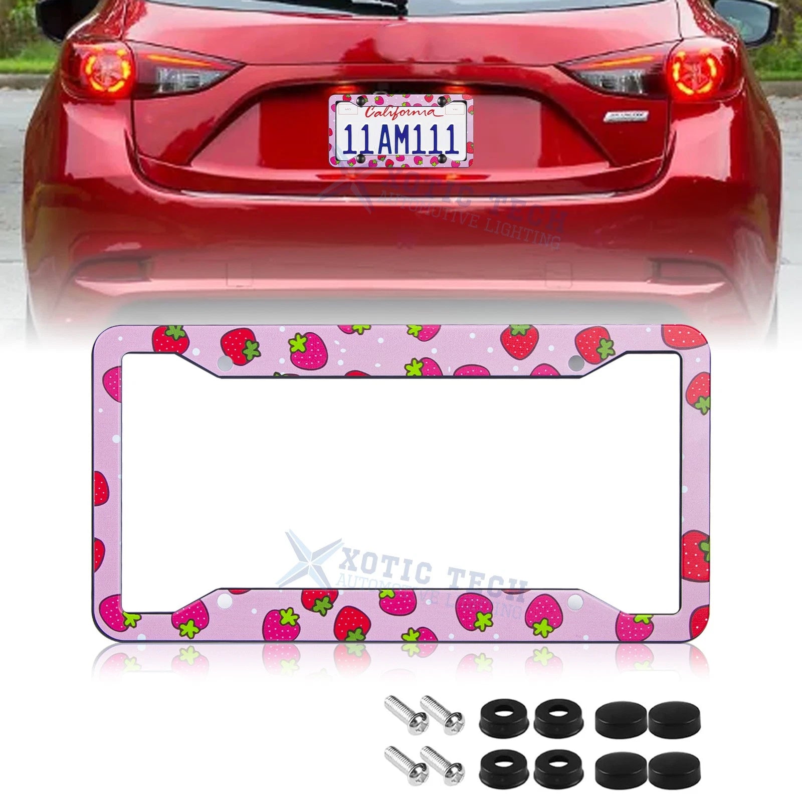 Universal License Plate Frame for Stainless Steel (2000–2020)