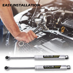 2X Rear N3 Shock Absorbers for Ford F-150 (2009–2021) 2WD/4WD