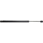 Lift Support for Ford Focus Hatch (2000–2007)