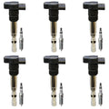 Set of 6 Ignition Coils & NGK Ruthenium Spark Plugs for Ford Taurus (2008–2019)