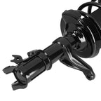 Pair Front Struts with Coil Spring Assembly for Honda CR-V (2002-2006)