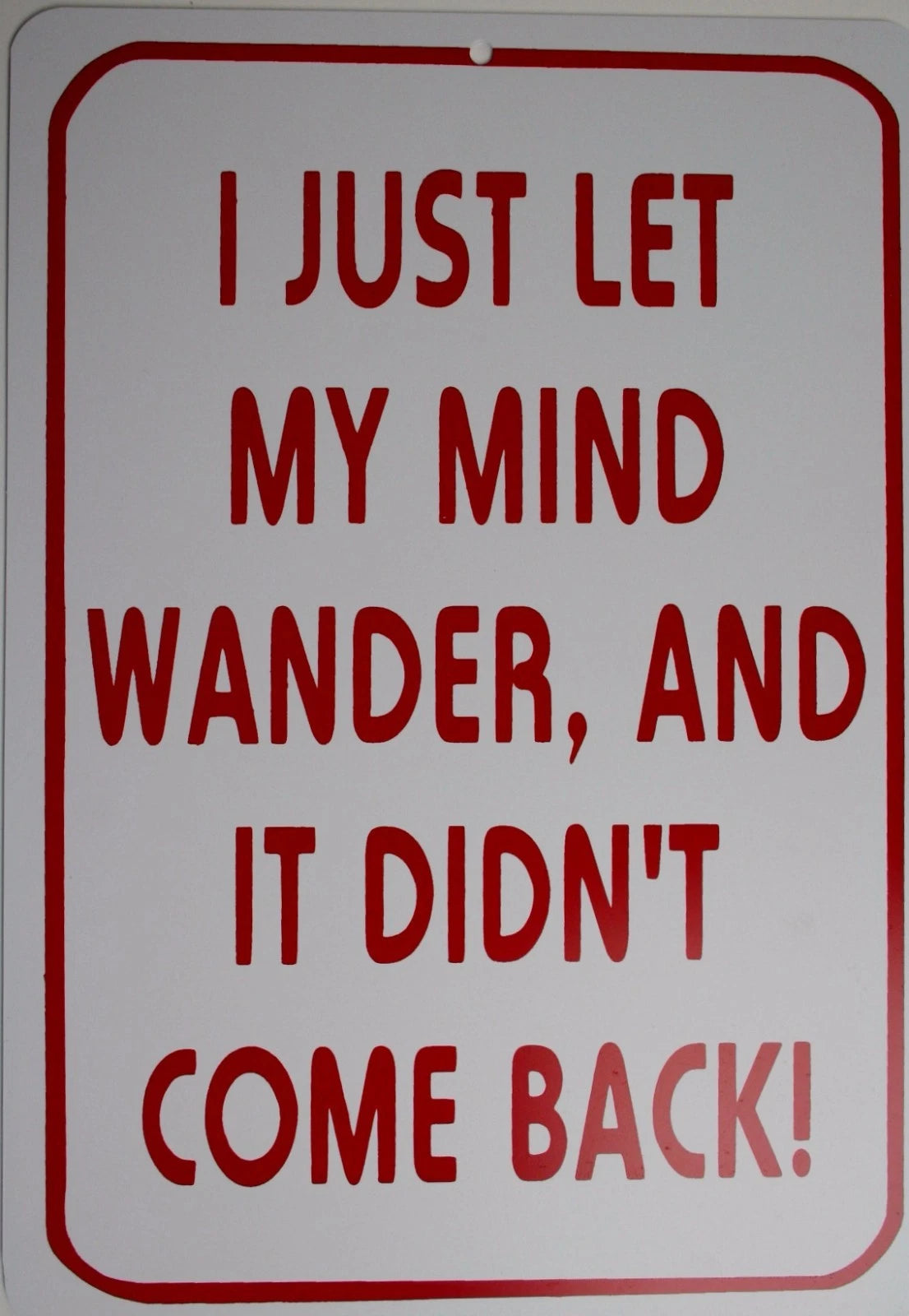 I LET MY MIND WANDER Man Cave Sign - Funny Gag Gift
