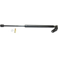Liftgate Lift Support for Toyota Celica (2000–2004)