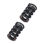 Dual Valve Spring Kit for LSX LS2 LS3 LQ4 LQ9 (2000–2023)