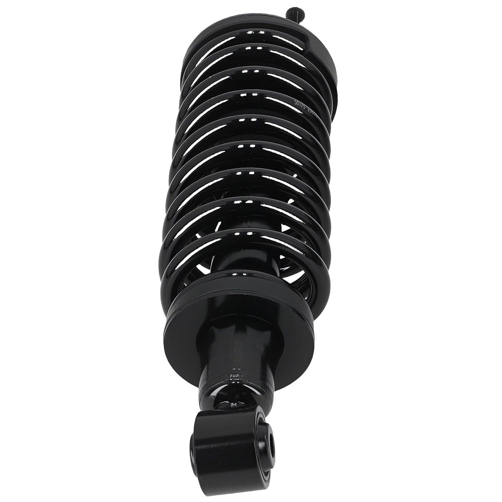 2pcs Front Left + Right Strut Spring for Mercury Grand Marquis (2003–2011) 171346