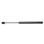 Hood Lift Support for Acura CL TL (2001–2003)