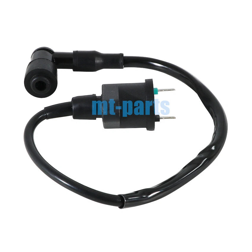 Ignition Coil for Sky Team ST 125-1, PBR/125-6, Skymax, T-Rex (2007–2016)