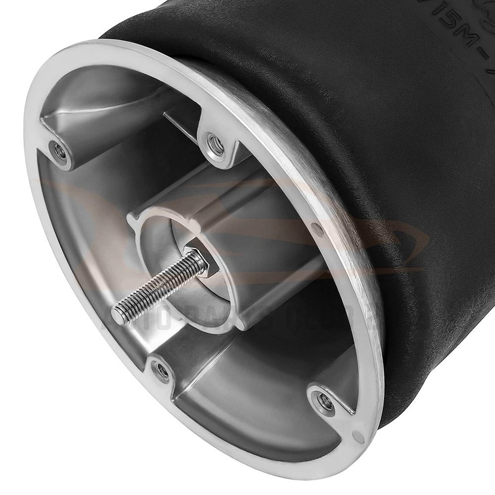 Air Suspension Spring Bags for Navistar (W01-358-9974)