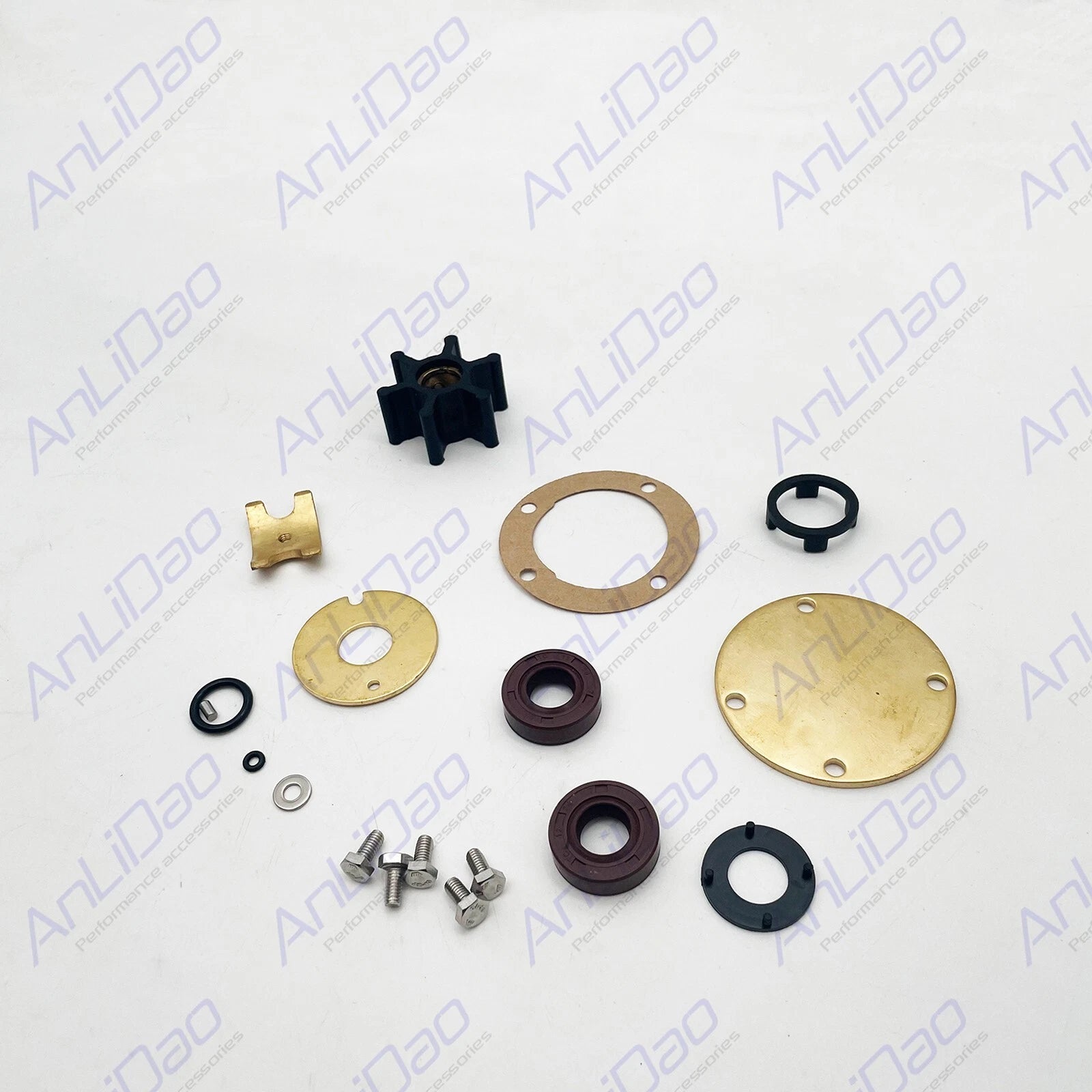 Internal Major Repair Kit for Volvo Penta Sea Water Pumps (21951368, 858065, 840557)