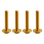 Gold Windshield Fairing Bolts for Harley Touring Road Glide FLTRX/S (2015–2023)
