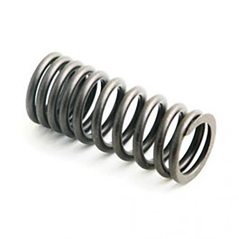Valve Spring for A-406723R1-AI