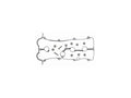 Valve Cover Gasket Set for Mazda 626 (1998–2002) P984TK