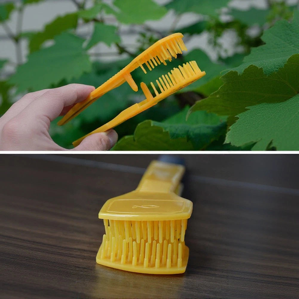 Grape Disbudding Apparatus for Agricultural Use