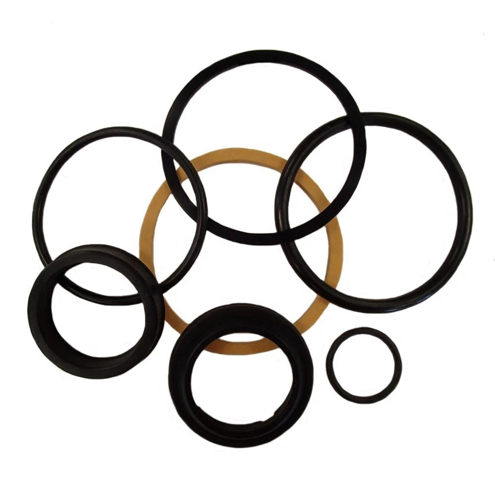 D61006 Hydraulic Cylinder Seal Kit for Case Models