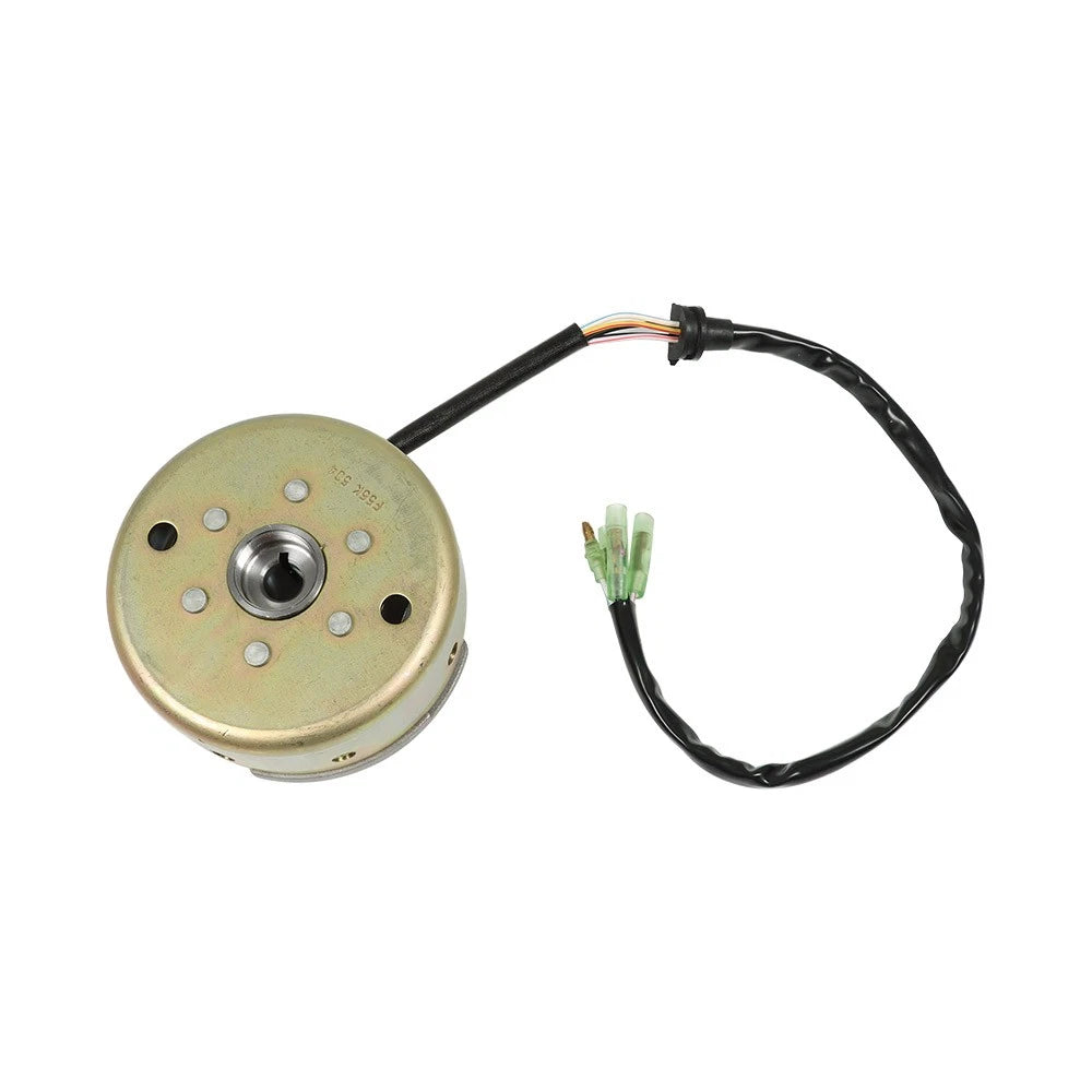 Set of 2 Flywheel Generators with Stator for Yamaha