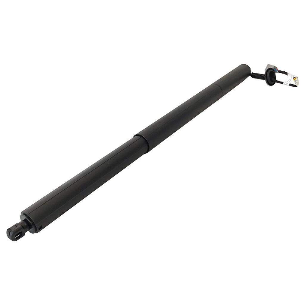 Rear Left Tailgate Lift Support for Ford Escape (2013-2019)
