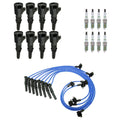 Set of 8 Ignition Coil Wires & Platinum Spark Plugs for Crown Victoria (1992–2011)