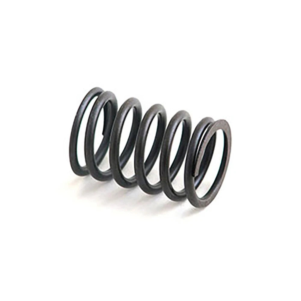 Valve Inner Spring for A-31744133-AI