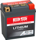 BS Battery Lithium Battery BSLi-01 for (2010–2023)