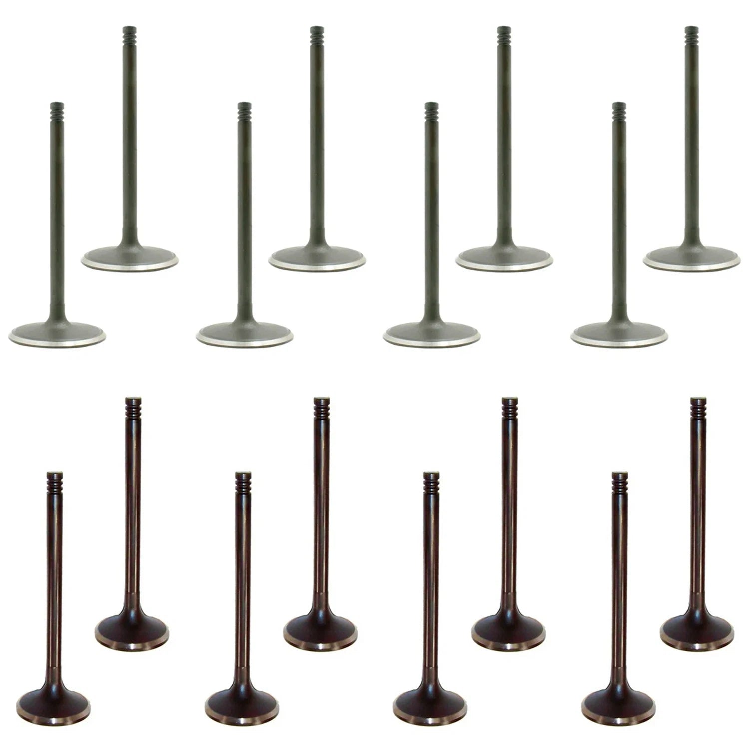 DNJ 16V Intake & Exhaust Valves Kit for Dodge Challenger Charger Magnum (2006–2010)
