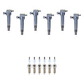 Set of 6 Ignition Coils & Spark Plugs for Kia Cadenza Sedona V6 (2014–2020)