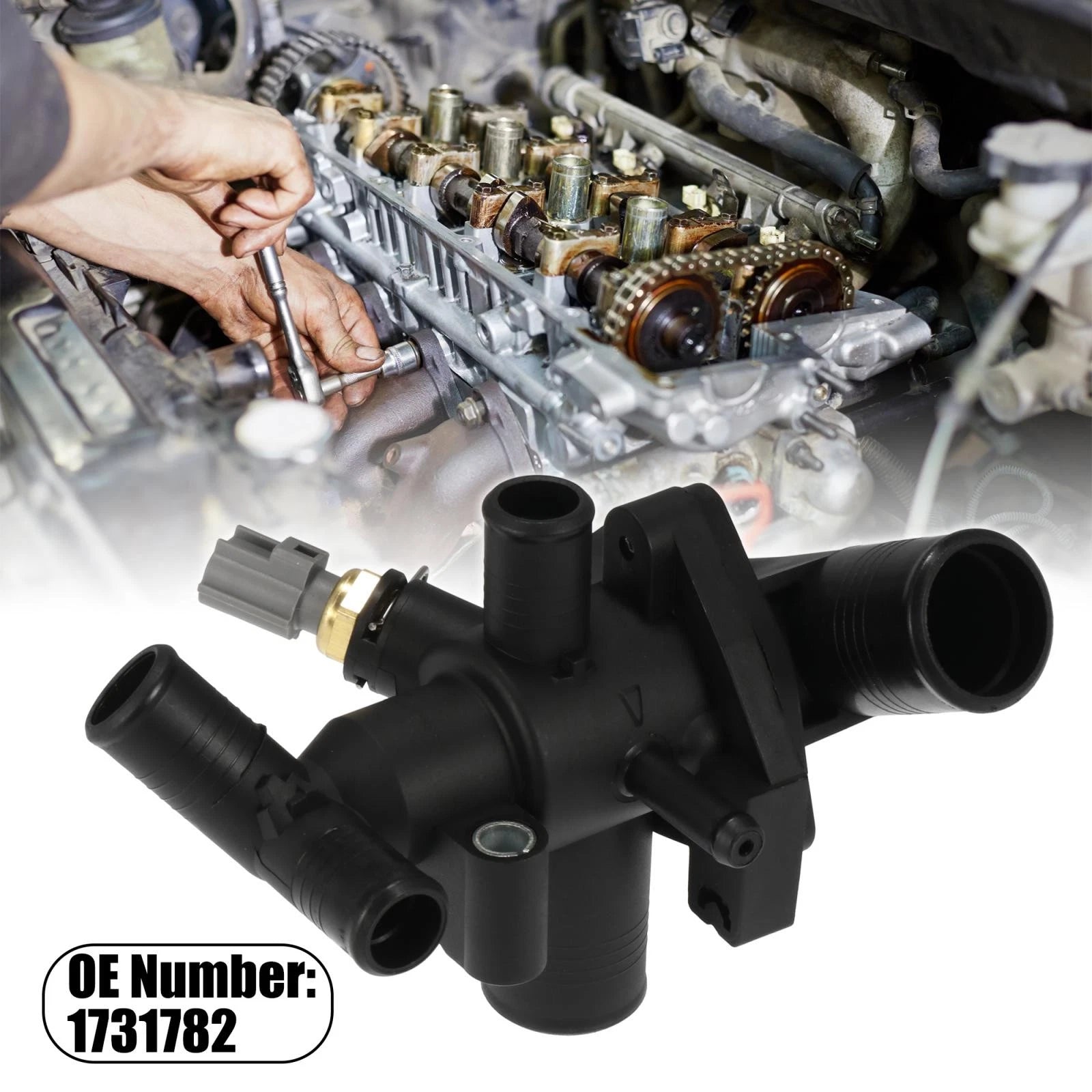 Thermostat Housing for Ford Transit MK7 MK8 2.2 RWD (2006–2014)