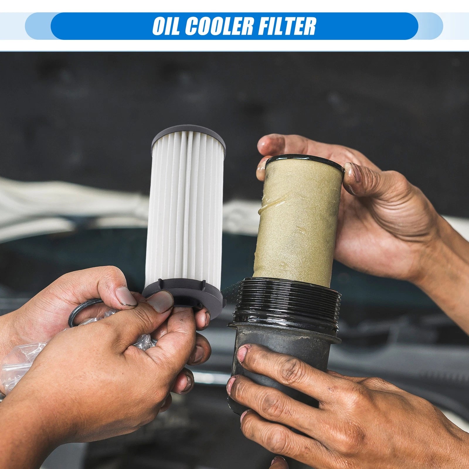 Automatic Transmission Oil Cooler Filter for Audi (No. 0BH325183B)