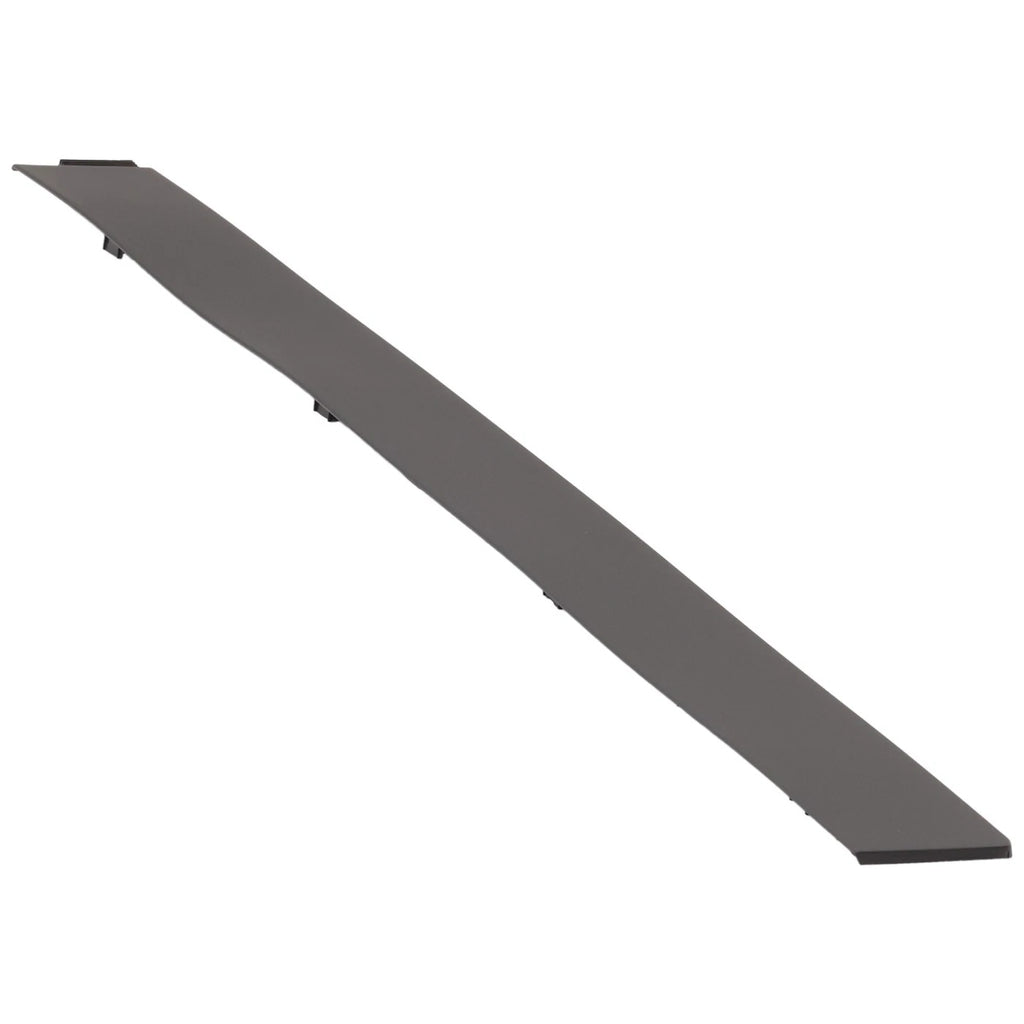 Rear Driver Side Door Molding for X
