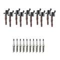 Set of 10 Ignition Coils & NGK Platinum Spark Plugs for Ford F250 F350 (1999–2003)