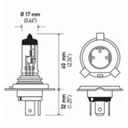H4 Headlight Bulbs for Universal Vehicles ( Before Purchase)