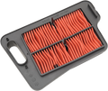 HIFLOFILTRO Air Filter for Suzuki (HFA3401)