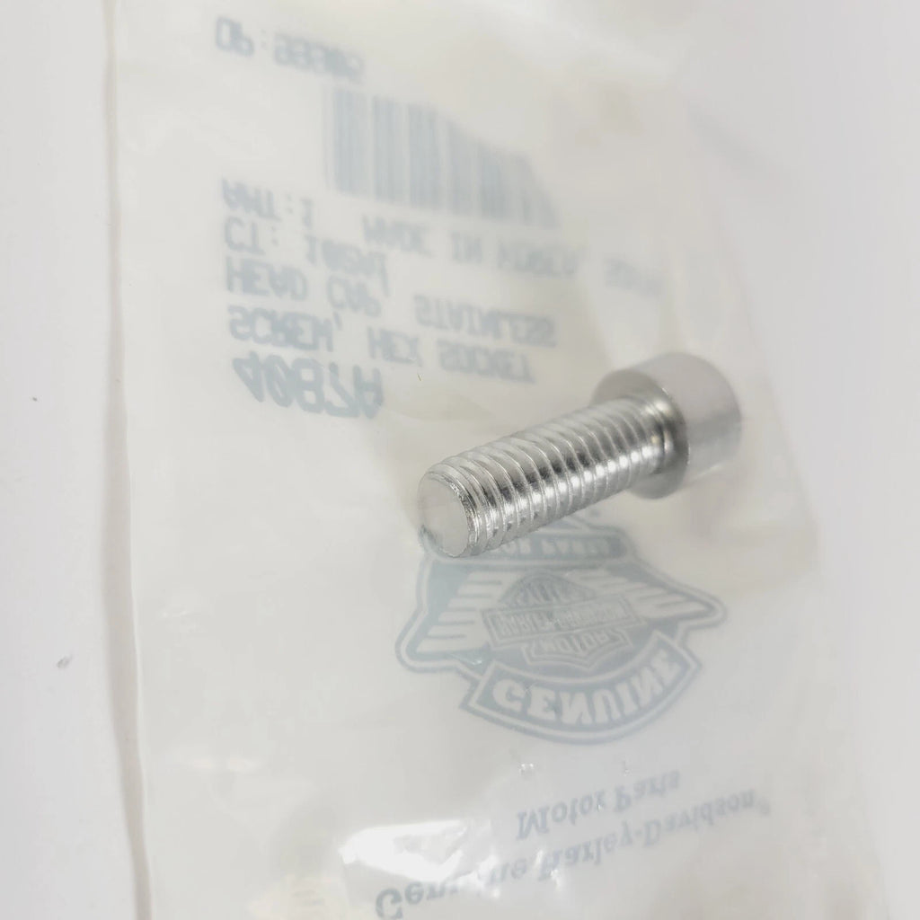 Screw Hex Socket Head Cap for Harley-Davidson (4087A)