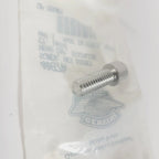 Screw Hex Socket Head Cap for Harley-Davidson (4087A)