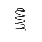 Front Coil Spring for BMW (4008476)
