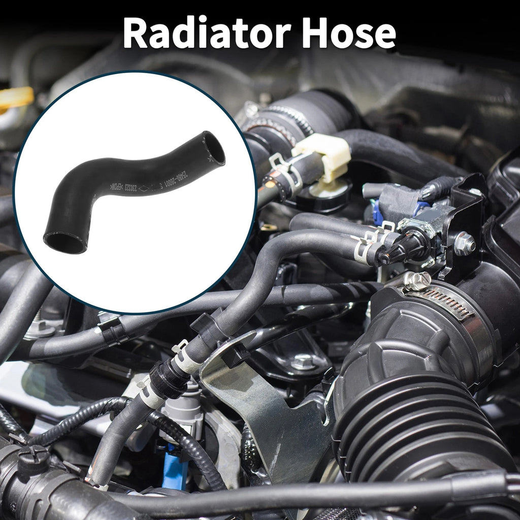 Radiator Hose No. 2547226001 for Hyundai Elantra (2000–2006) Rubber
