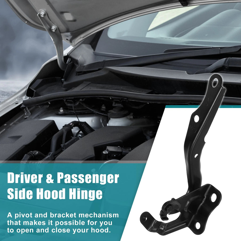 Hood Hinge Set of 2 for Toyota (5341012550, 5341002170)