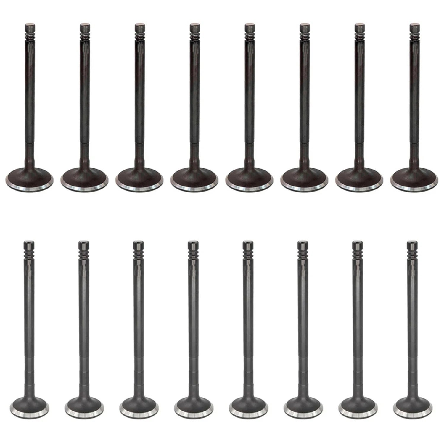 DNJ 8 Intake & 8 Exhaust Valves Kit for Ford Fiesta 1.6L L4 VIN J (2011–2017)