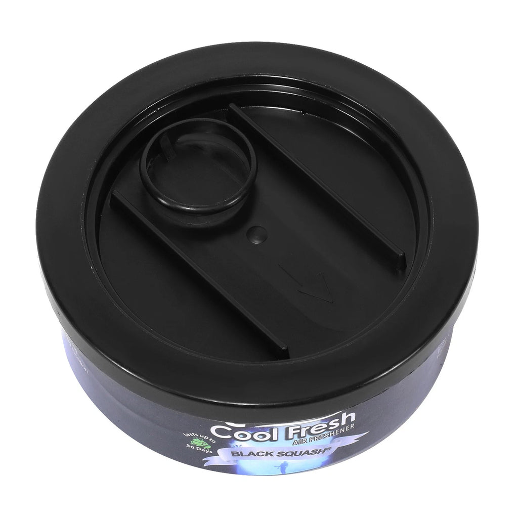 Air Freshener for Car Office Bathroom - Treefrog Black Squash Scent 60g