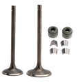 Valve Set Inlet & Exhaust for CG250 ATV Quad Go Kart Dirt Bike (2000–2023)