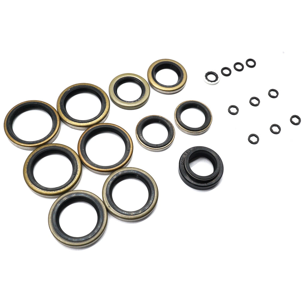 Seal Kit for Johnson Evinrude E-Tec Gearcase Lower Unit (5006373, 5000411, 439141)