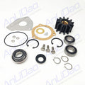 End Wear Plate Bearing for Sherwood G15 G21 G9901 (Minor Repair Kit 23979)