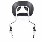 Detachable Passenger Backrest Sissy Bar for Harley Davidson Touring FL (2009–2018)