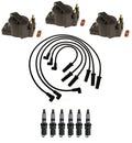Ignition Wires & Coils Set of 3 with 6 Spark Plugs for Chevy Oldsmobile Pontiac (V6)