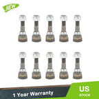 10 Pack Stump Grinder Teeth for 500 (YYYY–YYYY)