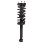 Set of 2 Rear Spring Struts Assembly for Nissan Maxima Infiniti I30 (1996–1999)