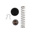 Thermal Regulator Kit for Pentair Sta-Rite Max-E-Therm (2007-2023)