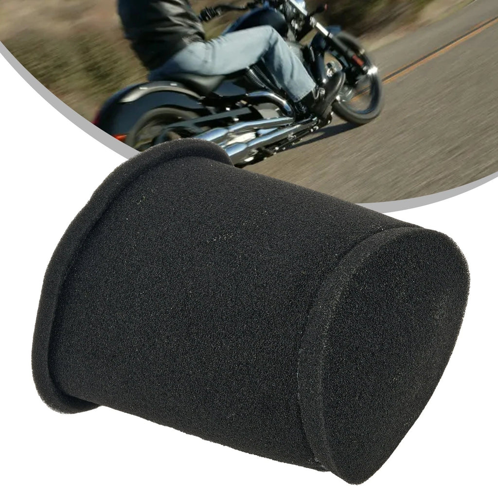 Air Filter Element for Suzuki TU125 X (13780-38301)