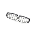 Carbon Fiber Dual Line Front Grille Mesh for BMW 1 Series E81 E87 (2008–2011)